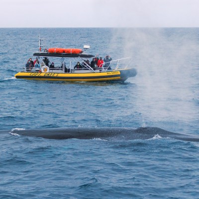 a small boat in a body of water