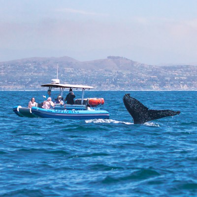 a small boat in a large body of water
