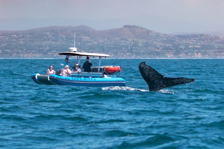 a small boat in a body of water with a mountain in the background
