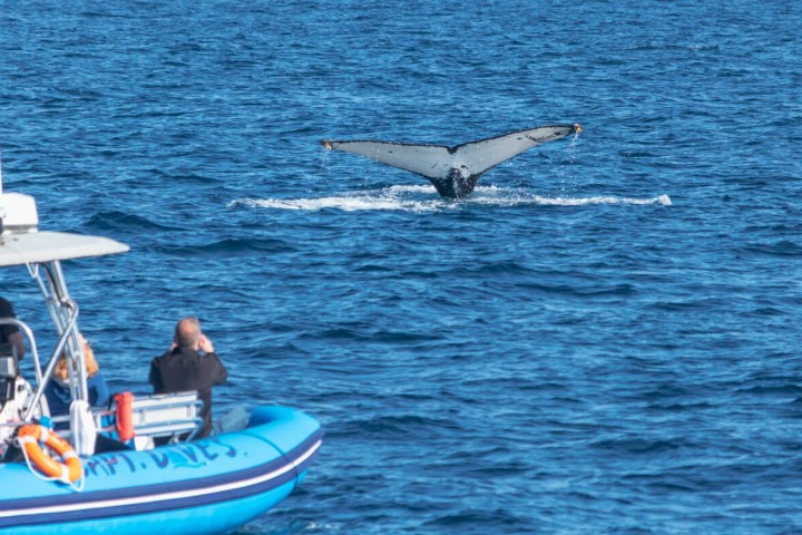 a group of people in a small boat in a body of water