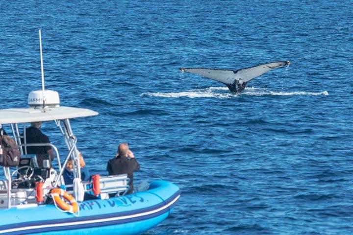 a small boat in a body of water