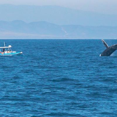 a small boat in a large body of water