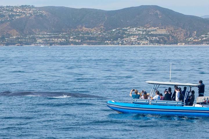 a small boat in a body of water