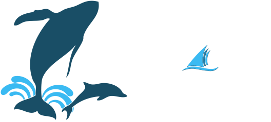 Captain Dave’s Dolphin & Whale Watching Safari